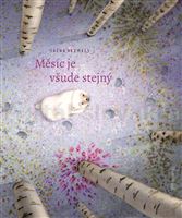 Měsíc je všude stejný