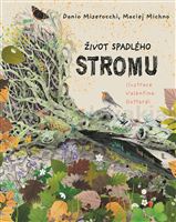 Život spadlého stromu
